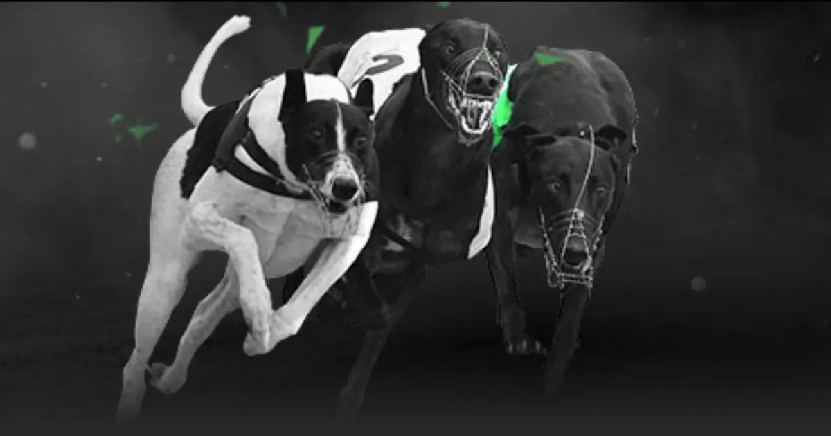 库里单季,再创辉煌,联盟排名第,PG电子官网,PG电子试玩,PG电子模拟器,PG电子平台,PG电子下载