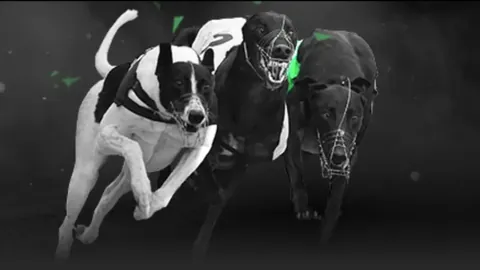 库里单季50+再创辉煌，联盟排名第二，仅逊色于亚历山大！